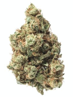 Maui Wowie 